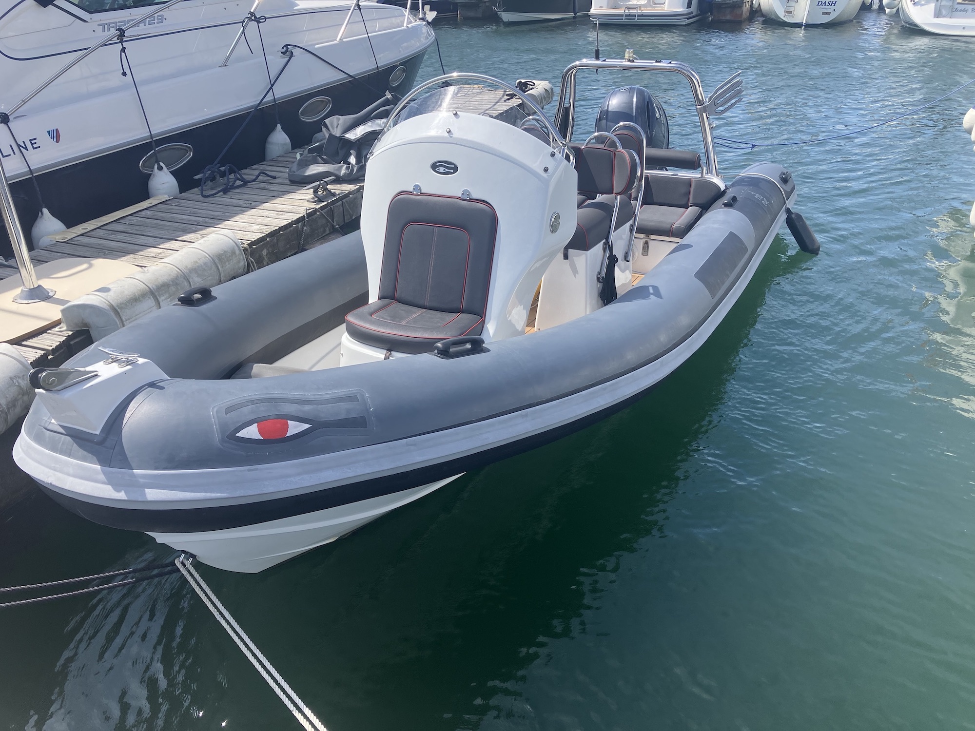 Ribeye A600 01
